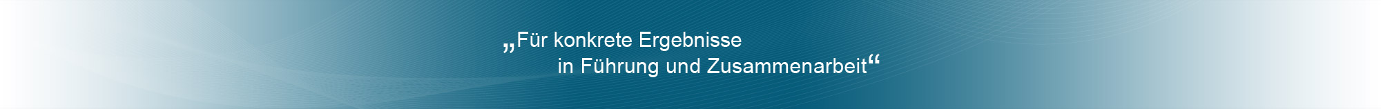 Ihr erfahrener Partner für konkrete Ergebnisse